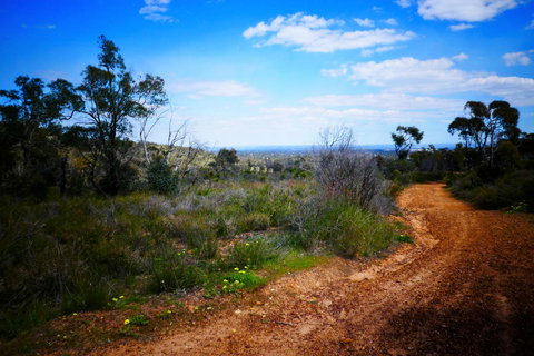 Treetops Cottage - Hervey Bay Accommodation 35