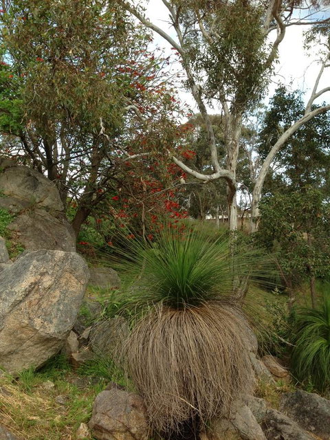 Treetops Cottage - Hervey Bay Accommodation 26