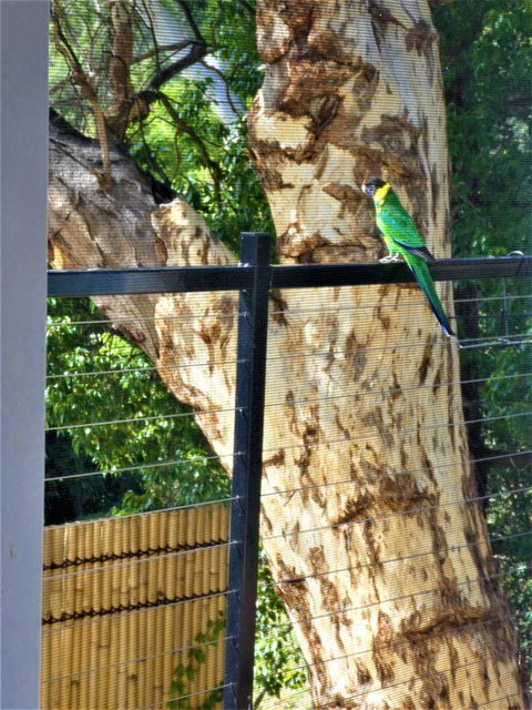 Treetops Cottage - Hervey Bay Accommodation 27