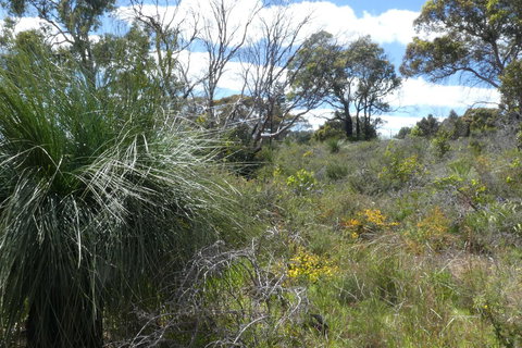 Treetops Cottage - Hervey Bay Accommodation 36