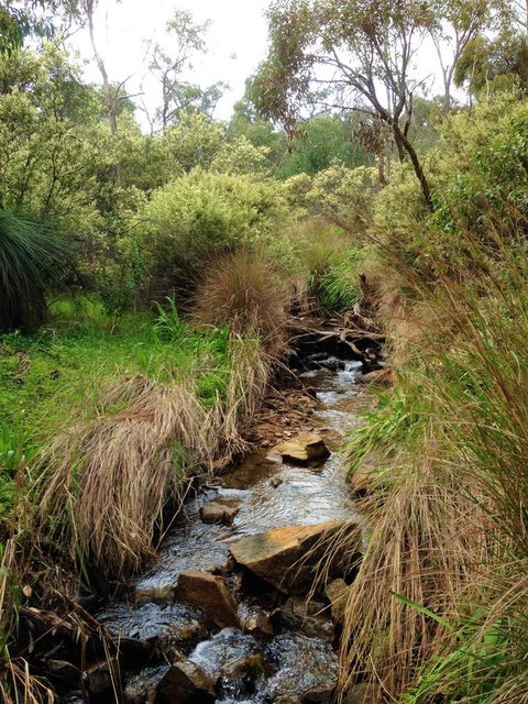 Treetops Cottage - Hervey Bay Accommodation 22