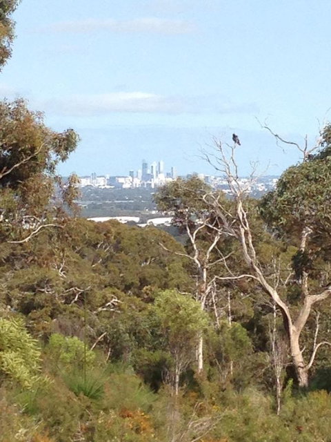 Treetops Cottage - Hervey Bay Accommodation 38