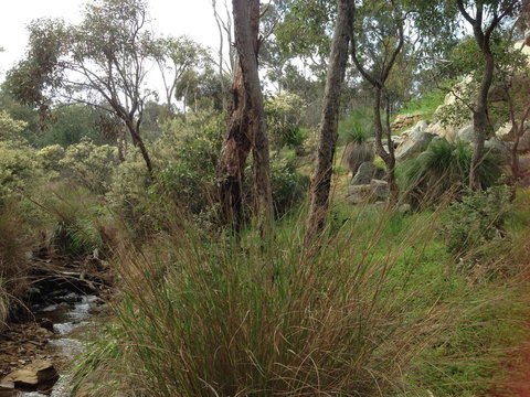 Treetops Cottage - Hervey Bay Accommodation 24