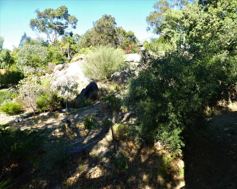 Treetops Cottage - Hervey Bay Accommodation 11