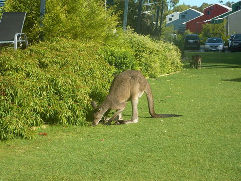 Footprints Preston Beach - Hervey Bay Accommodation 16
