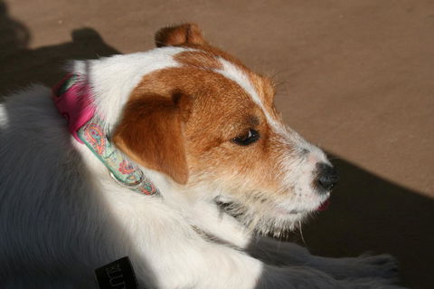 Bremer Bay B&B - Hervey Bay Accommodation 25