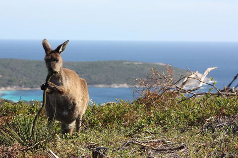 Bremer Bay B&B - Hervey Bay Accommodation 30