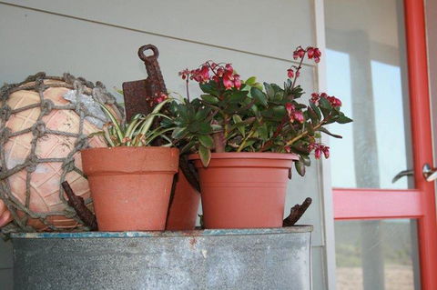 Bremer Bay B&B - Hervey Bay Accommodation 28