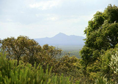 Bremer Bay B&B - Hervey Bay Accommodation 32