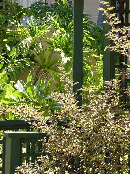 Kalbarri Beach Resort - Hervey Bay Accommodation 32