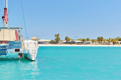 RAC Monkey Mia Dolphin Resort - Hervey Bay Accommodation 21