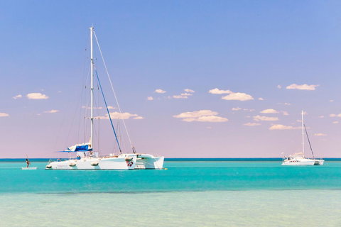 RAC Monkey Mia Dolphin Resort - Hervey Bay Accommodation 18