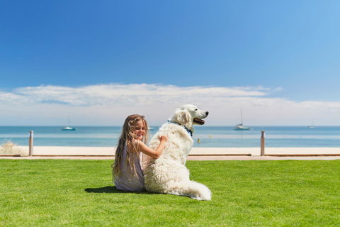 RAC Monkey Mia Dolphin Resort - Hervey Bay Accommodation 36