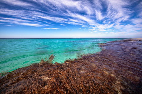 Discovery Resorts - Rottnest Island - Tourism Hervey Bay 24