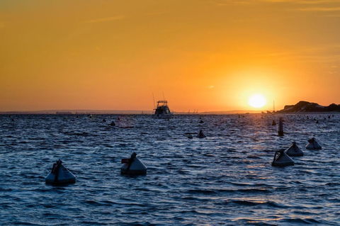 Discovery Resorts - Rottnest Island - Tourism Hervey Bay 27