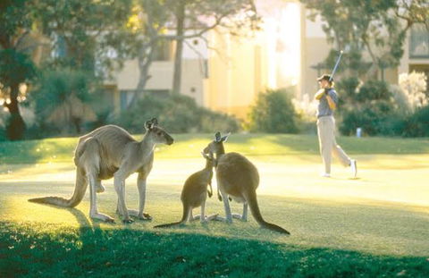 Ocean Reef Vista - Hervey Bay Accommodation 22