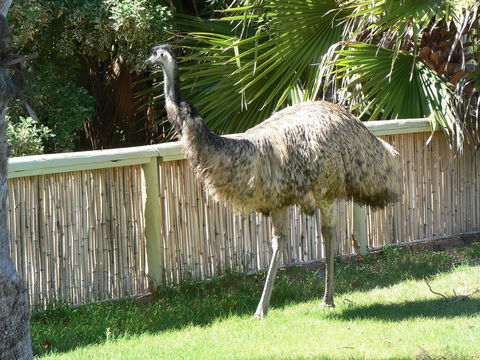 Wildsights Villas - Tourism Hervey Bay 29