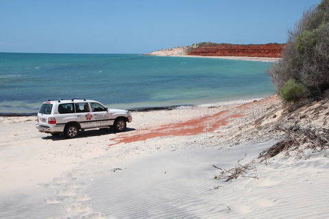 Wildsights Villas - Tourism Hervey Bay 12