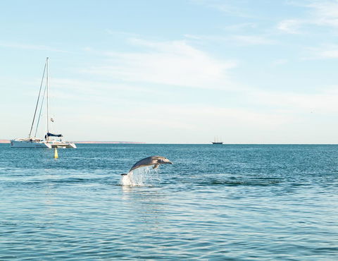 Wildsights Villas - Tourism Hervey Bay 11
