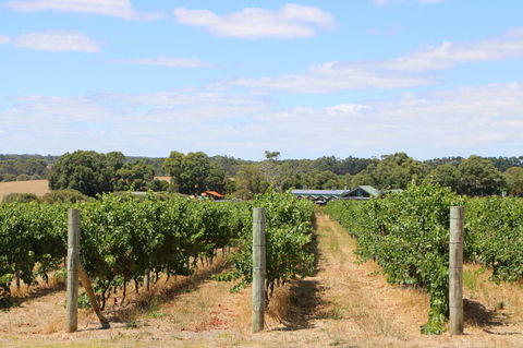 Burton Farmhouse - Hervey Bay Accommodation 11