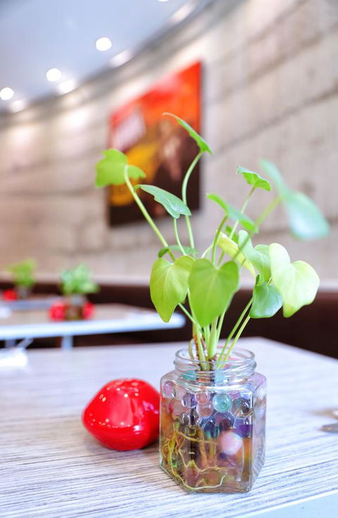 Bunbury Hotel Koombana Bay - Hervey Bay Accommodation 20