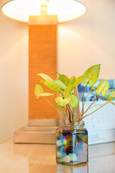 Bunbury Hotel Koombana Bay - Hervey Bay Accommodation 7