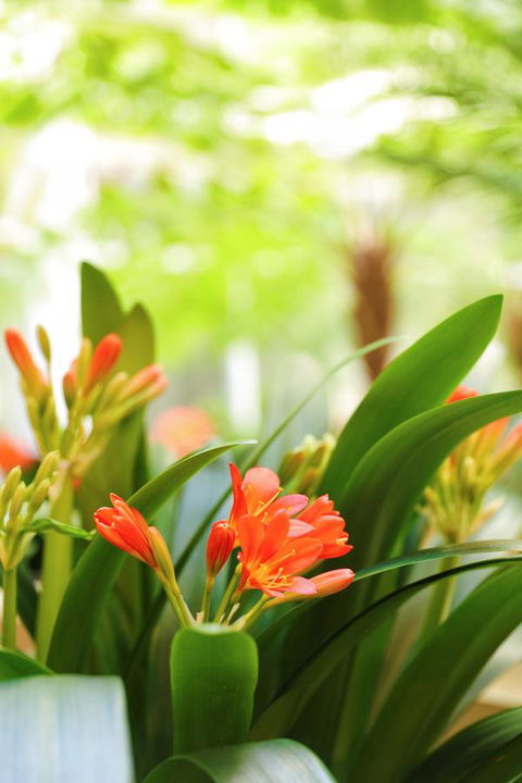 Bunbury Hotel Koombana Bay - Hervey Bay Accommodation 19