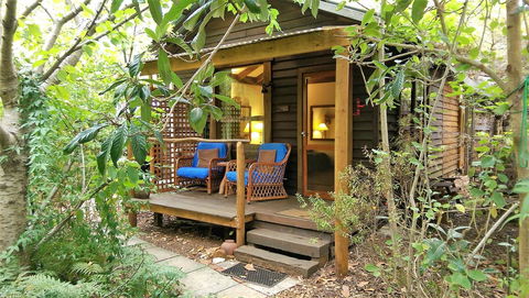 Black Cockatoo Lodge - Hervey Bay Accommodation 2