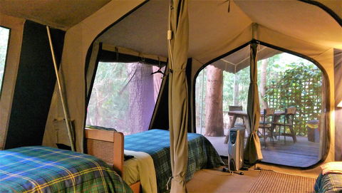 Black Cockatoo Lodge - Hervey Bay Accommodation 18