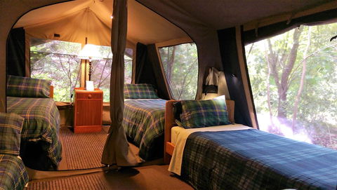 Black Cockatoo Lodge - Hervey Bay Accommodation 17
