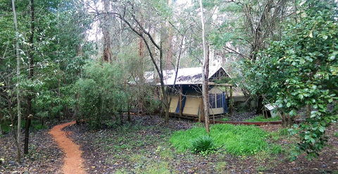 Black Cockatoo Lodge - Hervey Bay Accommodation 10