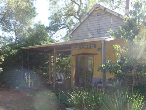 Black Cockatoo Lodge - Hervey Bay Accommodation 0