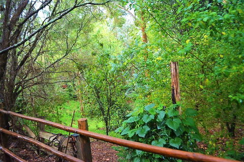 Black Cockatoo Lodge - Hervey Bay Accommodation 28