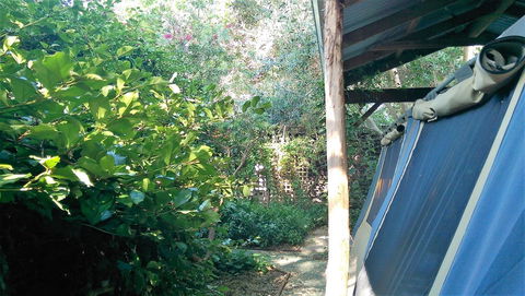 Black Cockatoo Lodge - Hervey Bay Accommodation 12