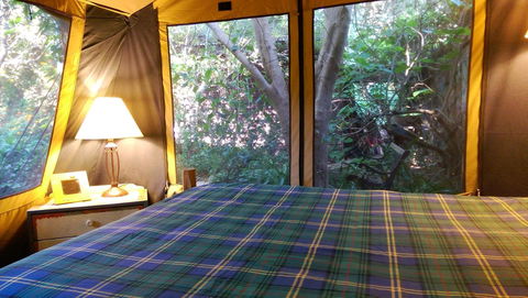 Black Cockatoo Lodge - Hervey Bay Accommodation 16