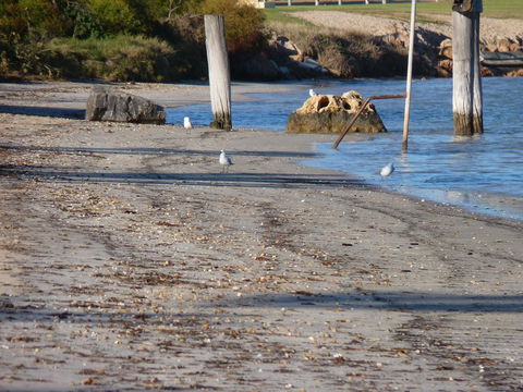 Leander Reef Holiday Park - Tourism Hervey Bay 6
