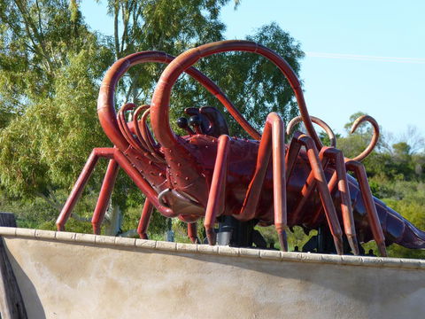Leander Reef Holiday Park - Tourism Hervey Bay 4