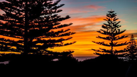 Mullaloo B & B - Hervey Bay Accommodation 10