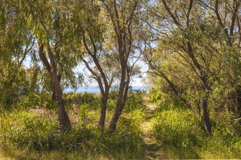 Seahaven - Hervey Bay Accommodation 7