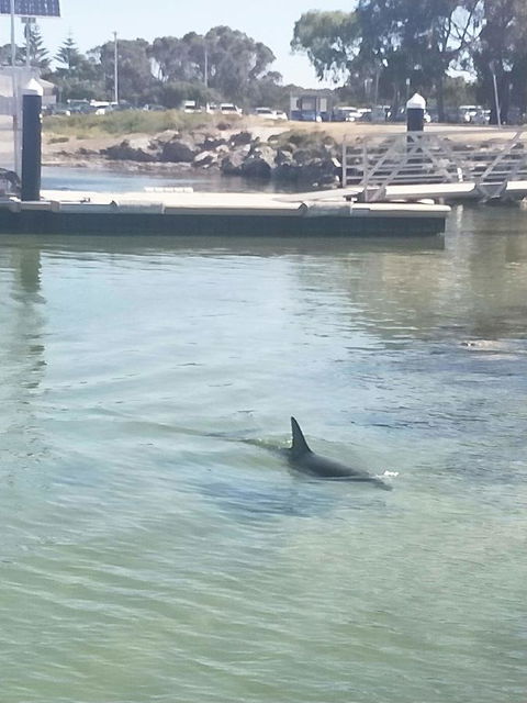 Sea-Esta - Hervey Bay Accommodation 26