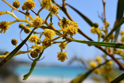 Eagle Bay House - Hervey Bay Accommodation 12