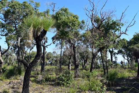 Eagle Bay House - Hervey Bay Accommodation 25