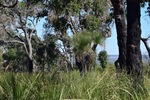 Eagle Bay House - Hervey Bay Accommodation 23