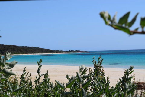 Eagle Bay House - Hervey Bay Accommodation 13