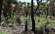 Eagle Bay House - thumb 27