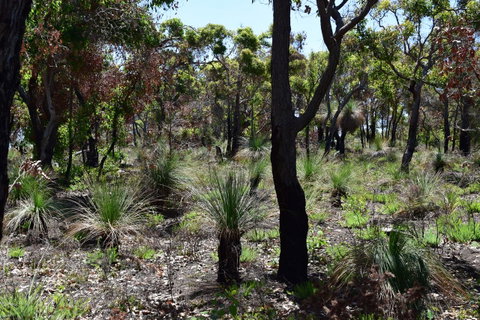 Eagle Bay House - Hervey Bay Accommodation 27