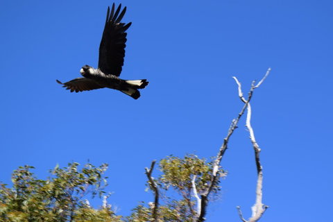 Eagle Bay House - Hervey Bay Accommodation 20