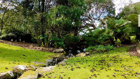 43 Degrees Bruny Island - Hervey Bay Accommodation 8