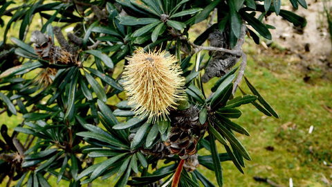 43 Degrees Bruny Island - Hervey Bay Accommodation 11
