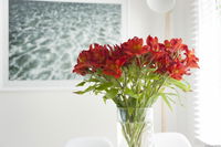Book Kingston Beach Accommodation Vacations Tourism Hervey Bay Tourism Hervey Bay